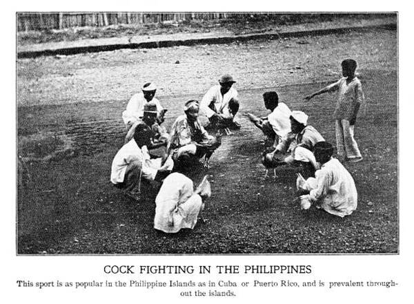 体育博彩稳赚小秘诀