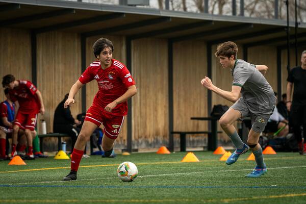 CBA（中国男子篮球职业联赛）