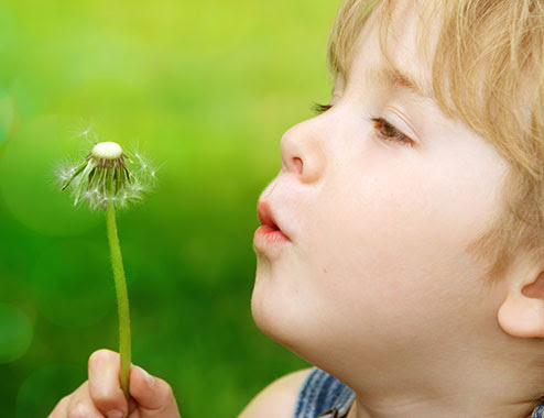 绿色博彩：公益项目捐赠行动